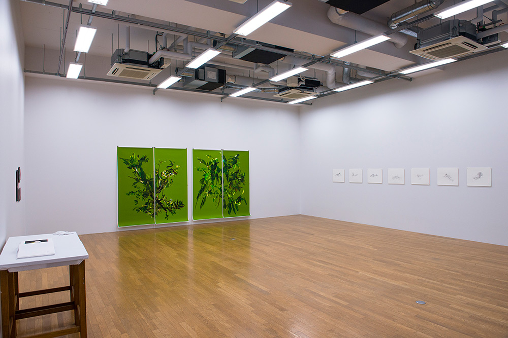 <p>Vista da exposição, FAL - The Fine Art Laboratory Gallery, Universidade de Arte de Musashino, Tóquio, Japão</p>