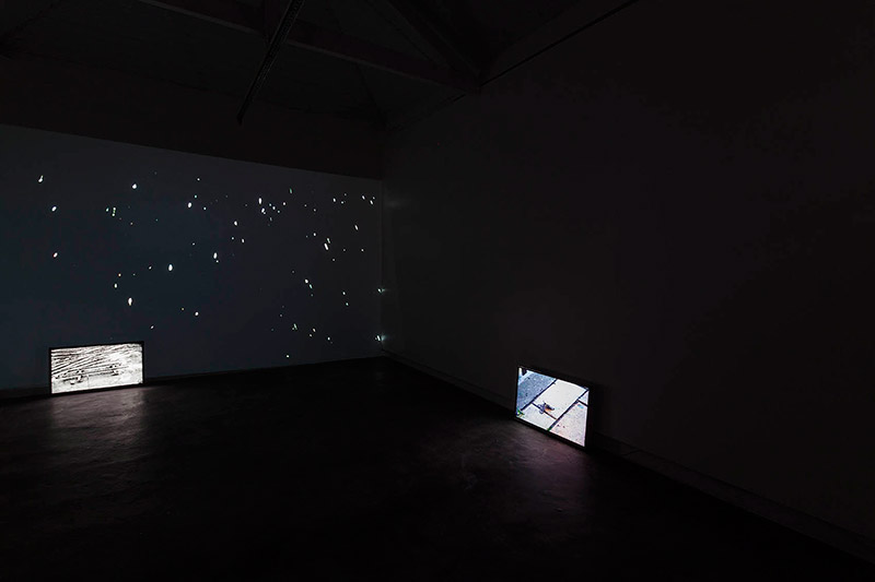 <p>Vista geral da exposição <em>Bom Vôo</em></p>
<p>Foto: Ding Musa</p>