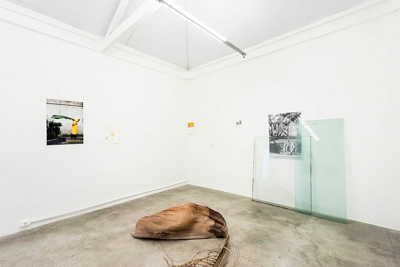 <p>Vidro Paisagem, 2017, primeira sala</p>
<p>Foto: Ding Musa</p>